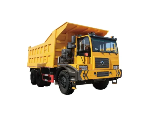Camión NXG5900D3T (WP12G460E310)